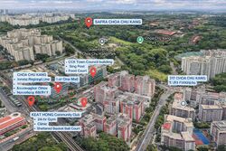 Blk 217 Choa Chu Kang Central (Choa Chu Kang), HDB 4 Rooms #521580201